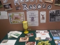 Southampton Rabbit rescue display